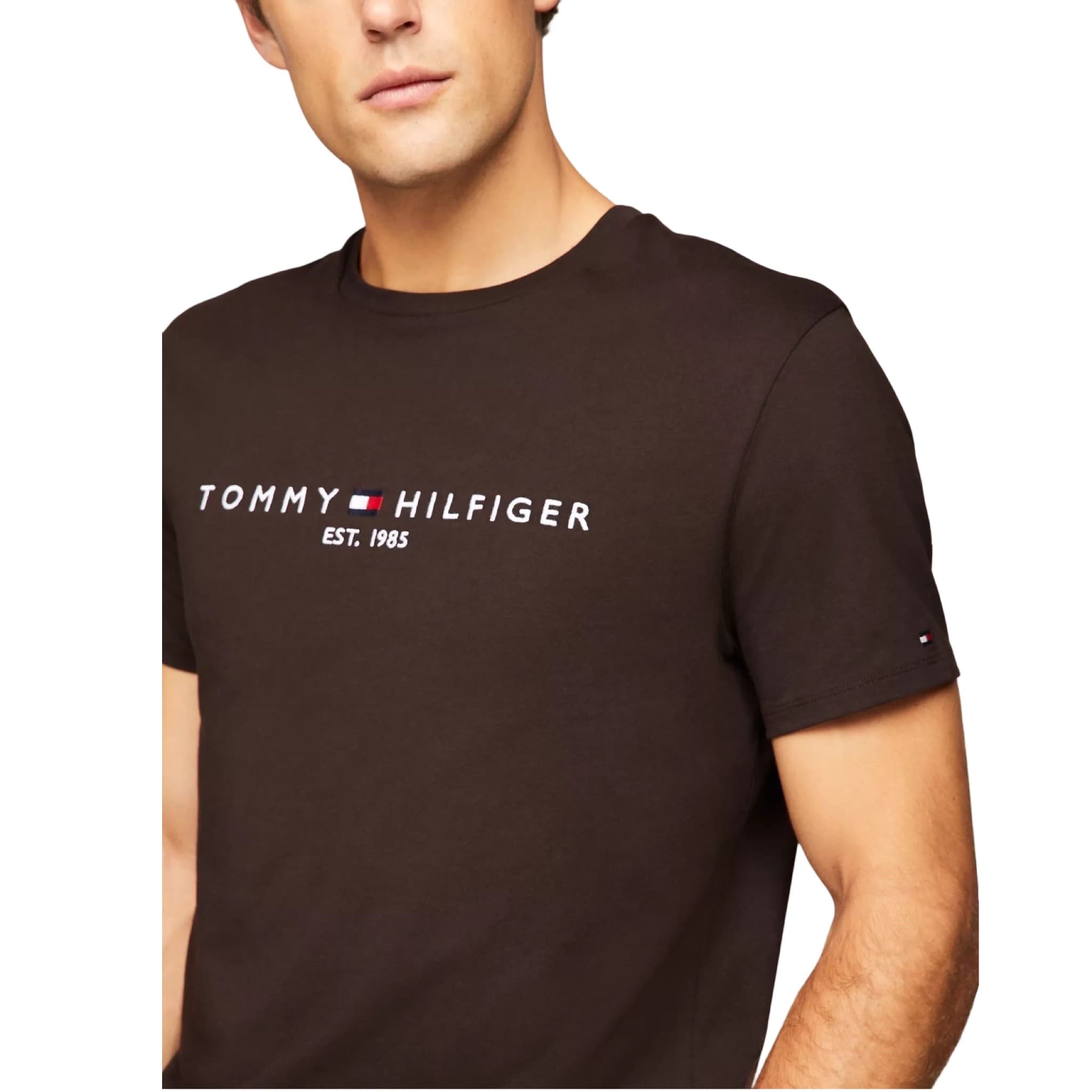 Embroidered Tommy Logo T-Shirt