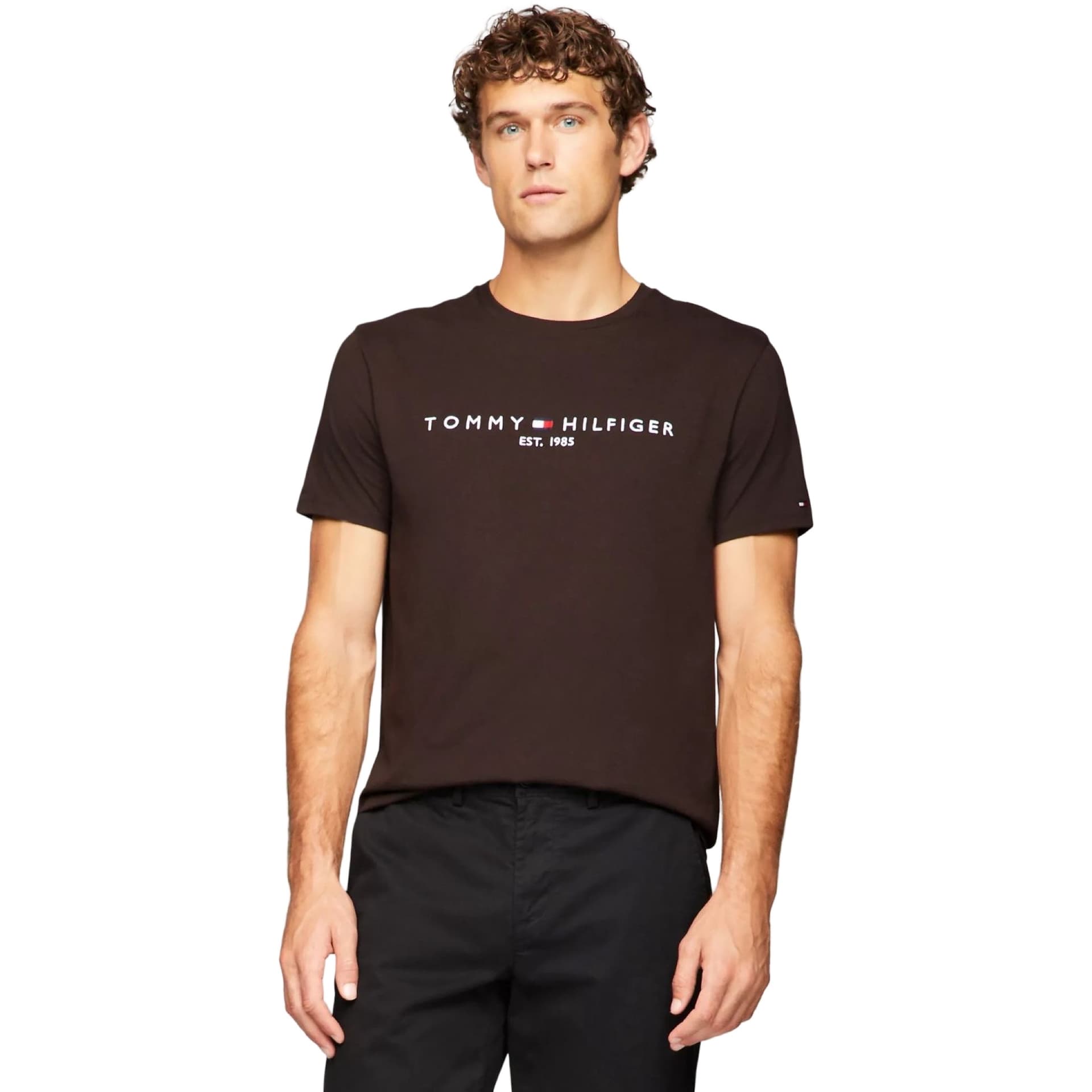 Embroidered Tommy Logo T-Shirt