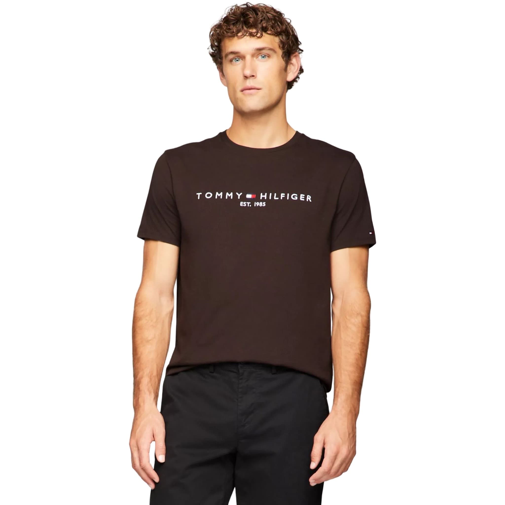 Embroidered Tommy Logo T-Shirt